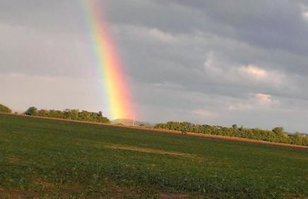Ferienwohnungen Blume am Schloßberg - Foto 10