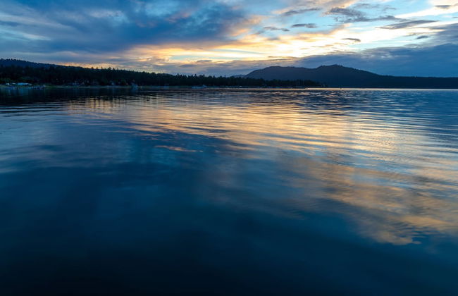 Heavenly Bear #2362 - Foto 16