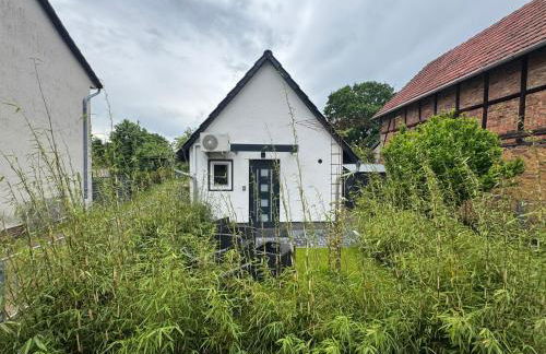 Tiny House am See Dillich - Hunde willkommen - Eigener eingezäunter Garten - Ruhige Lage - Klima - Foto 29