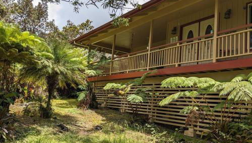 Local Living in Volcano Hawaii Breeze&5 mins to Volcano National Park - Foto 5, Garden, Garden view