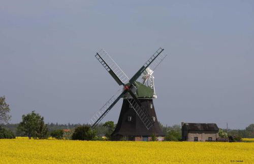 Ferienhaus Piratenburg Rövershagen - Photo 35