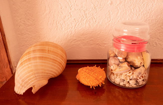 Bivalvia Apartments - Foto 13