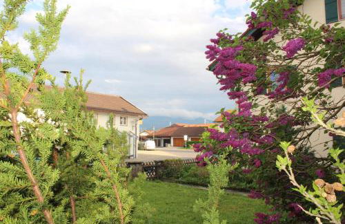 Ferienhaus mit Garten für bis zu 6 Personen - Foto 27