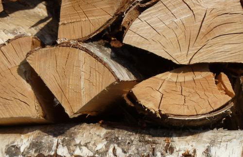 Quartier Rottewitz - Foto 74