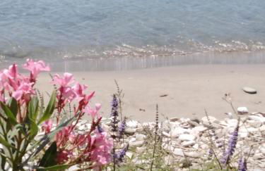 ''Sea front'' Rose's house - Foto 9