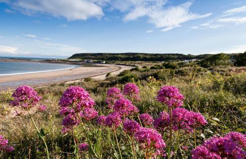 46 Gower Holiday Village with Swimming pool - Foto 21