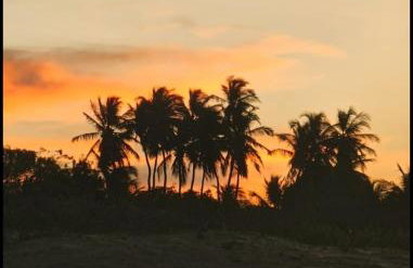 Sol do Gostoso Bangalô - Foto 52