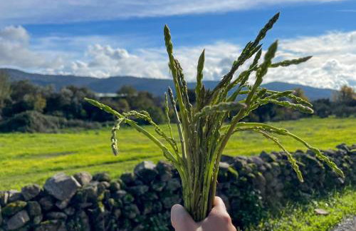 Casa Mauro - Foto 34
