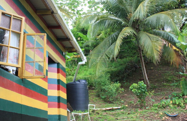 Nature in portland - Foto 22