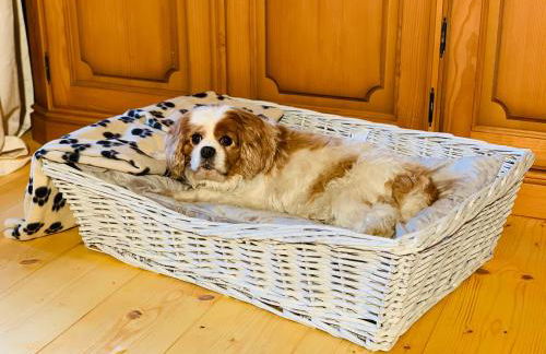 Chalet Zugspitze - Foto 28