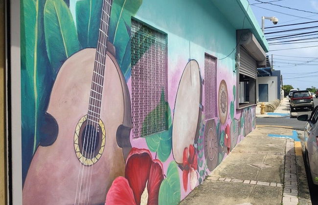 Beachfront Studios - Foto 28