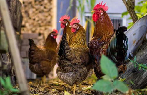 KUNSTLOFT - Atelier der Auszeit - Photo 25