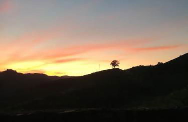 Quinta do Enxertado - Foto 8