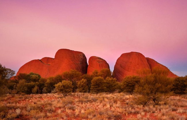 Uluru Sunrise and Kata Tjuta - Half-Day Small Group Tour - Photo 6