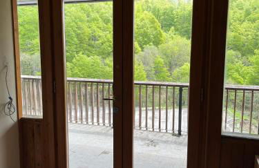 TERMINILLO - I Fiori del Terminillo - Tre Faggi - Foto 55