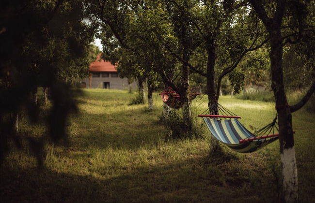 Apartment in Gronowo Near Lake Siecino - Photo 12