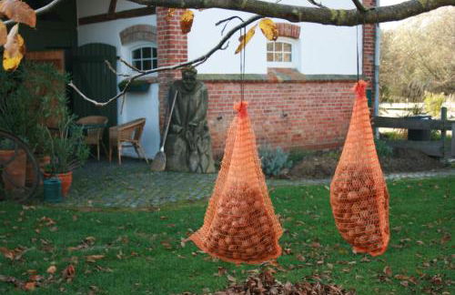 Ostseestuev - Foto 48