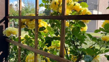 Casa Dani - Foto 2, Garden, Garden view
