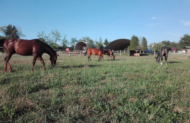 Agriturismo & Scuderia Fano's Farm - Foto 61