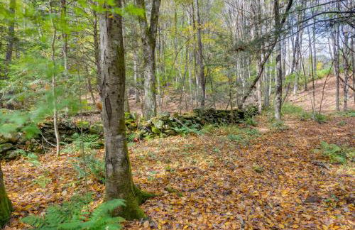 Charming Putney Home Porch, Grill and Hiking Trails - Foto 35