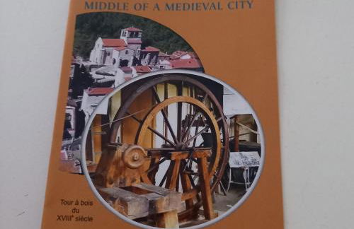 Gîte des Remparts près de Clermont, confort et charme - FR-1-582-541 - Foto 17