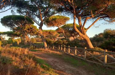 PARADISE ON THE BEACH - Foto 21