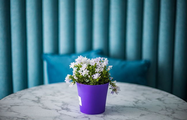 Hold Rome - Photo 29