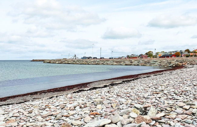 3 Person Holiday Home in Lottorp-by Traum - Foto 12