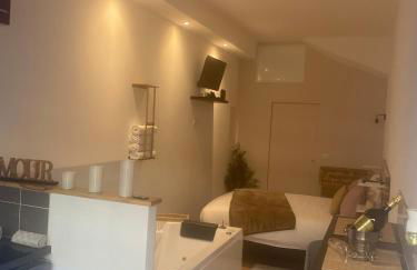 Perle Dazur Jacuzzi Suite Parking Prive 5min Mer - Foto 21