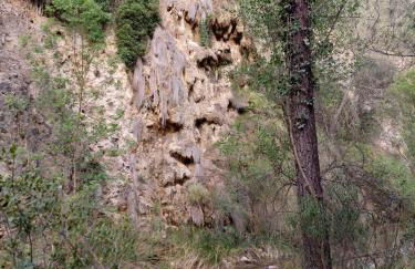 Apartamentos El Madroñal - Foto 67