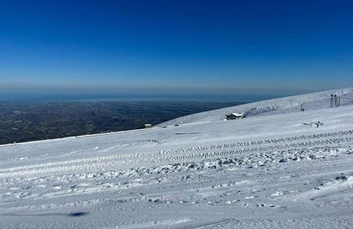 Flora house - Foto 42