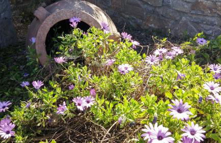 Stratos Villas - Foto 17