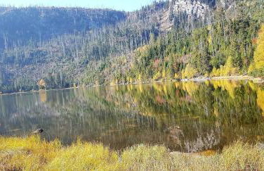 Ferienwohnung Breit - Kirchdorf - Foto 14