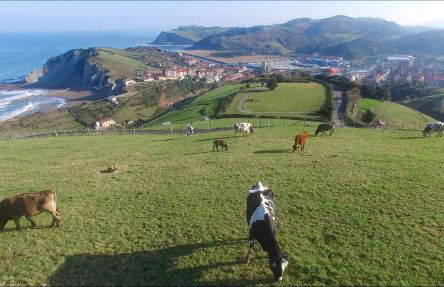 San José - ONGI ETORRI - Foto 12