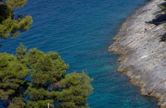 Modern Robinson Veli Bare - Photo 26