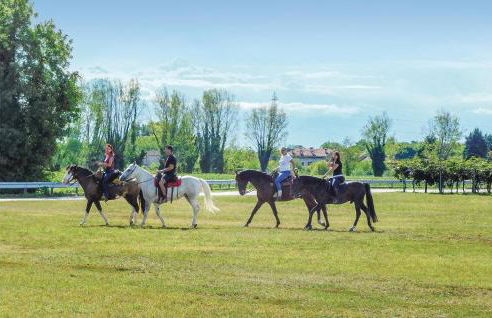 Il Casale Del Vino - Foto 26