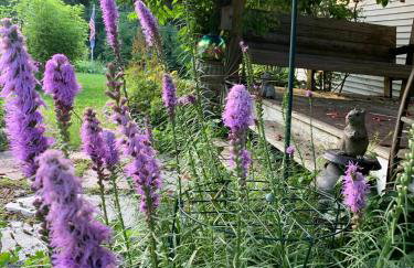 Private 5-Acre Escape - Pool, Lake & Gardens - Foto 53