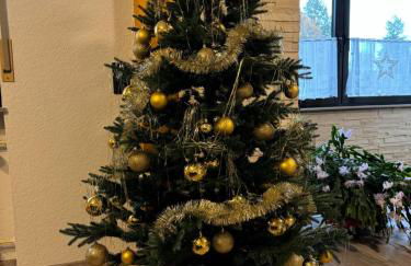 may-homestay-saar - Foto 26