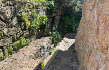 Nascente home place in nature next to a waterfall - Foto 18