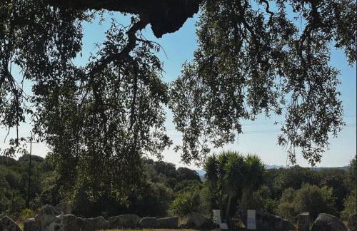 Antico Stazzo Gallurese - Foto 1