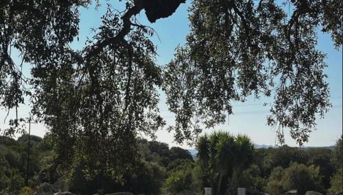 Antico Stazzo Gallurese - Foto 1