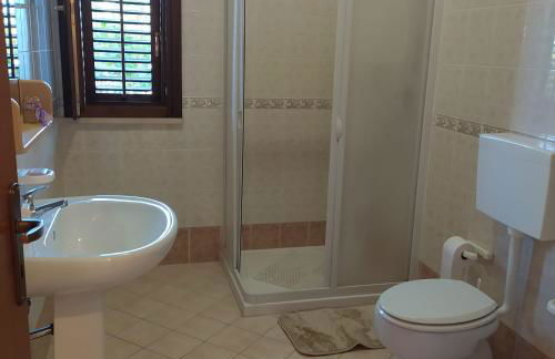 Hibiscus Rosso - Foto 19