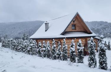 Jodłowa Chata - Foto 36