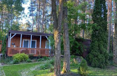 Brzozowy zakątek - Foto 33