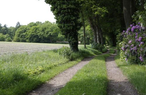 Ferienhaus im Schluh - Foto 23
