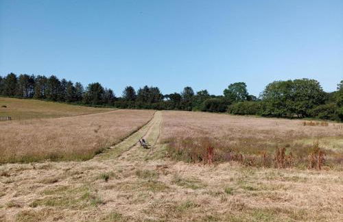 1 Bed in Llanybydder oc-81354 - Photo 20