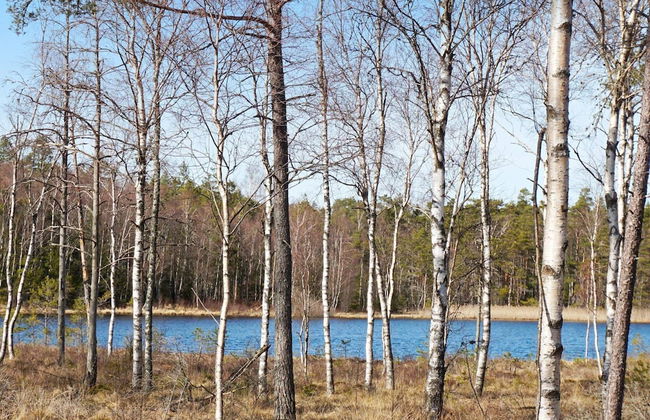 4 Person Holiday Home in Stromstad - Foto 7