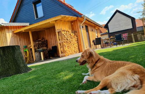 Ferienhaus Darlingerode - Foto 1