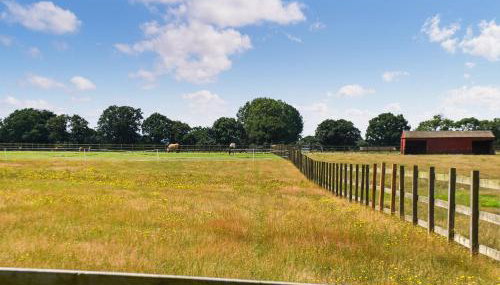 Wild Grape Lodge - Foto 3