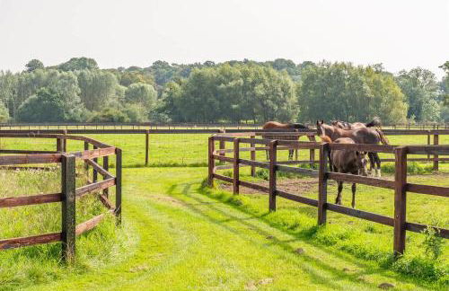 Stable Cottage - Foto 30